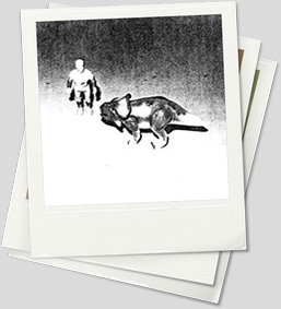 Prototypes-B&W-Protoceratops1(Large).jpg