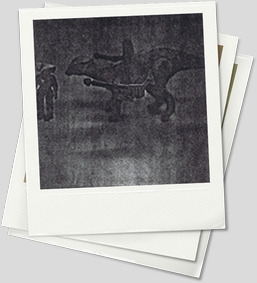 Prototypes-B&W-Saurolophus2(Large).jpg