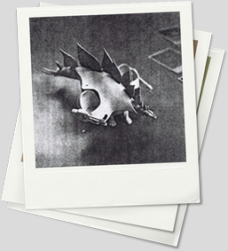 Prototypes-B&W-Stegosaurus1(Large).jpg