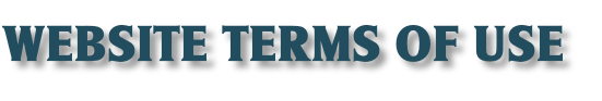 WEBSITE TERMS OF USE
