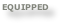 EQUIPPED
